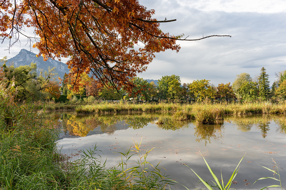 Leopoldskroner Weiher 2a 2024.jpg