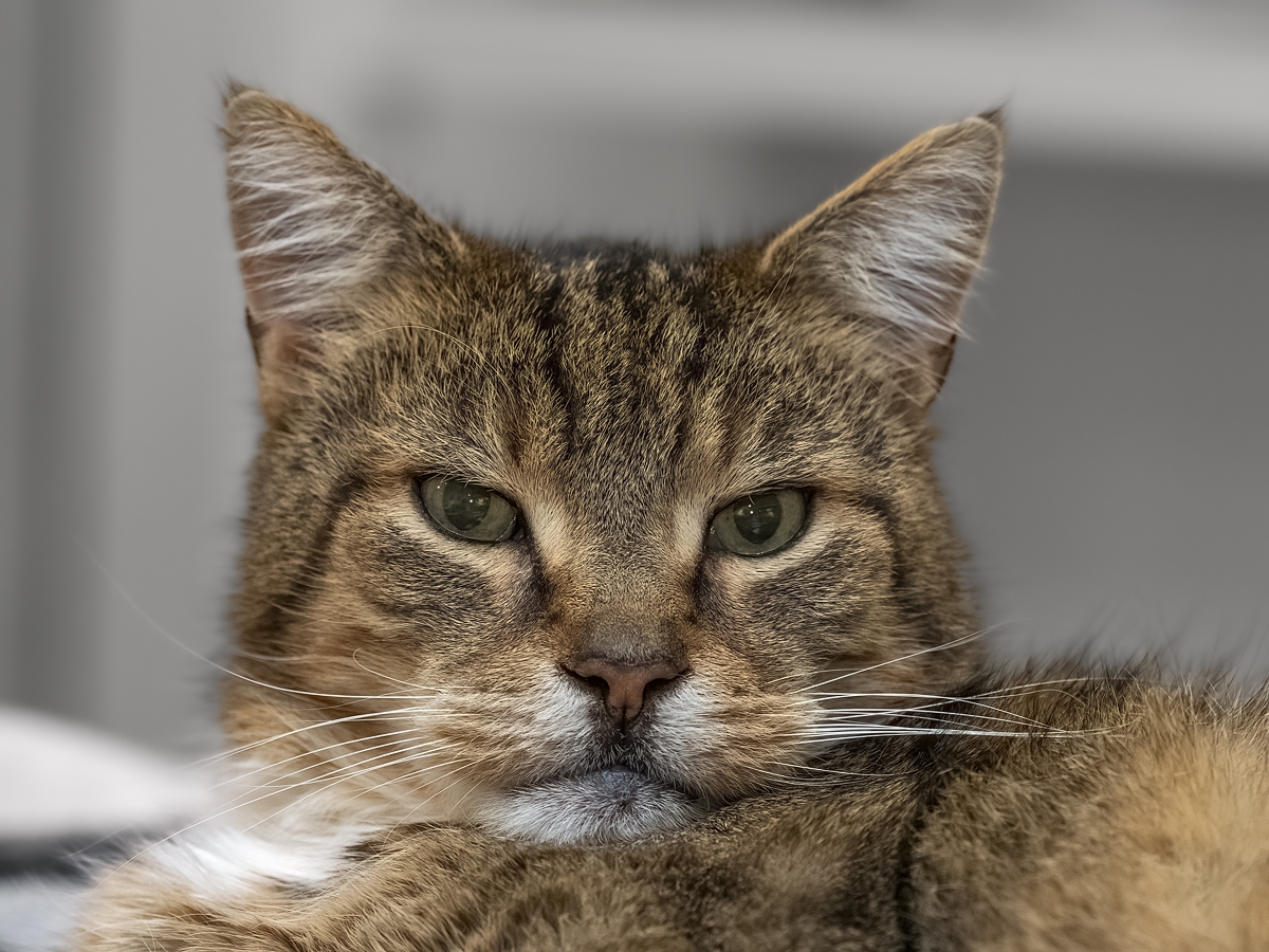 jack01 (1 von 1).jpg