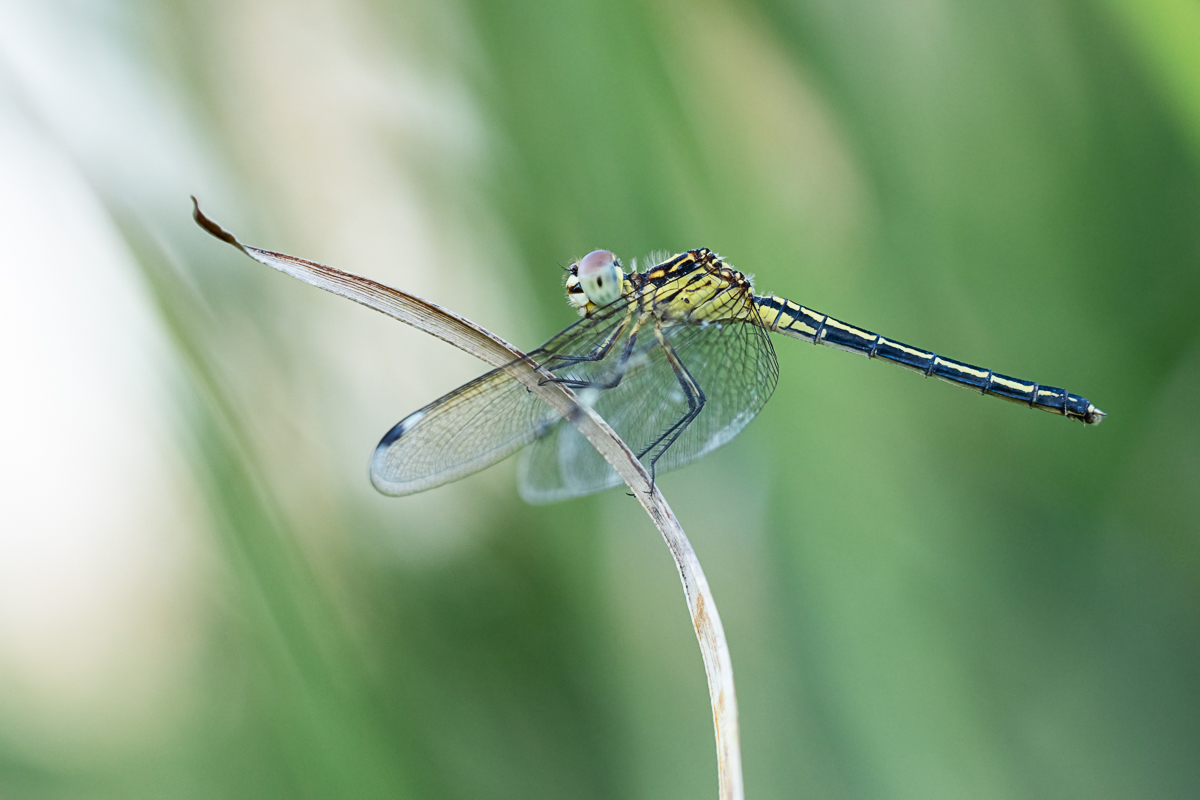 20241020-R_7_8327-b.jpg