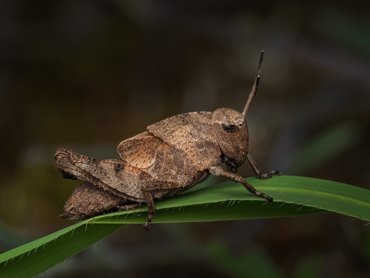 MIR-20240710-7100121-133-ZS-retouched-Bearbeitet-Kopie.jpg