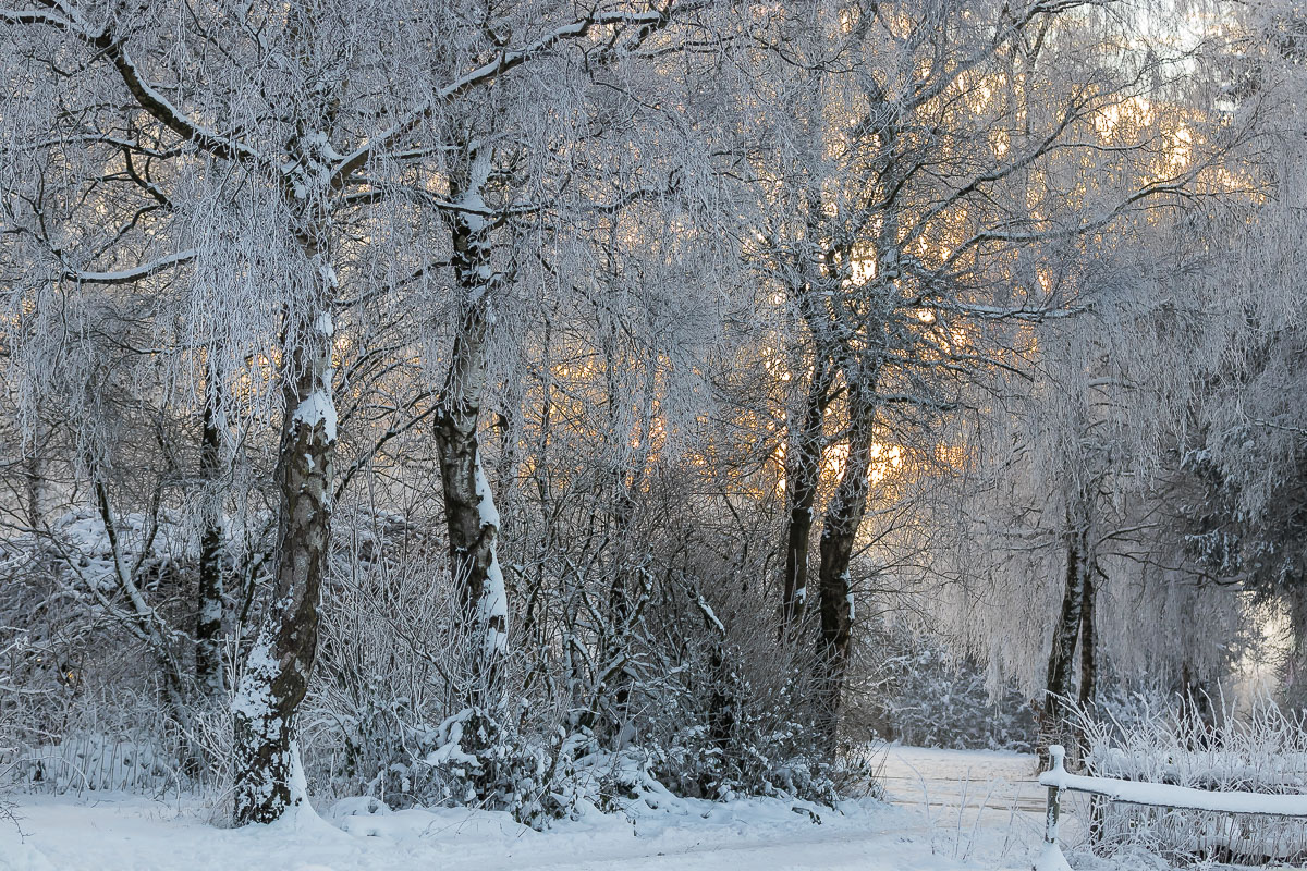 IMG_9510_Langenfeld_B.minimal.jpg