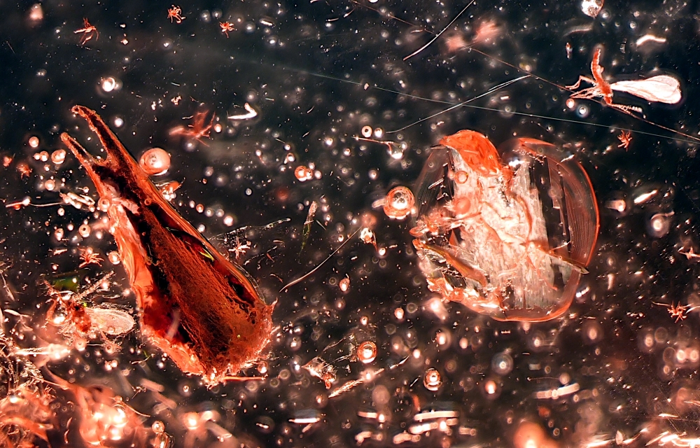 2025-02-05 09-49-03 (A,R8,S4) _ 1 _ G.jpg