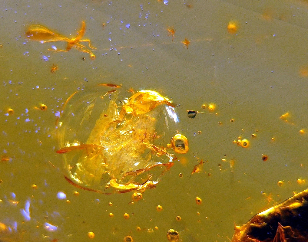 2025-02-05 14-11-07 (B,R8,S4) _ 1 _ G.jpg