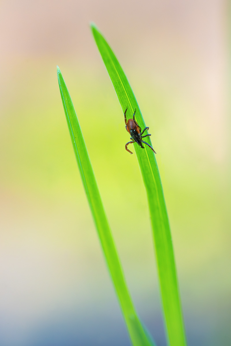 2025-02-17 20-48-30 (B,R8,S4)f.kl.jpg