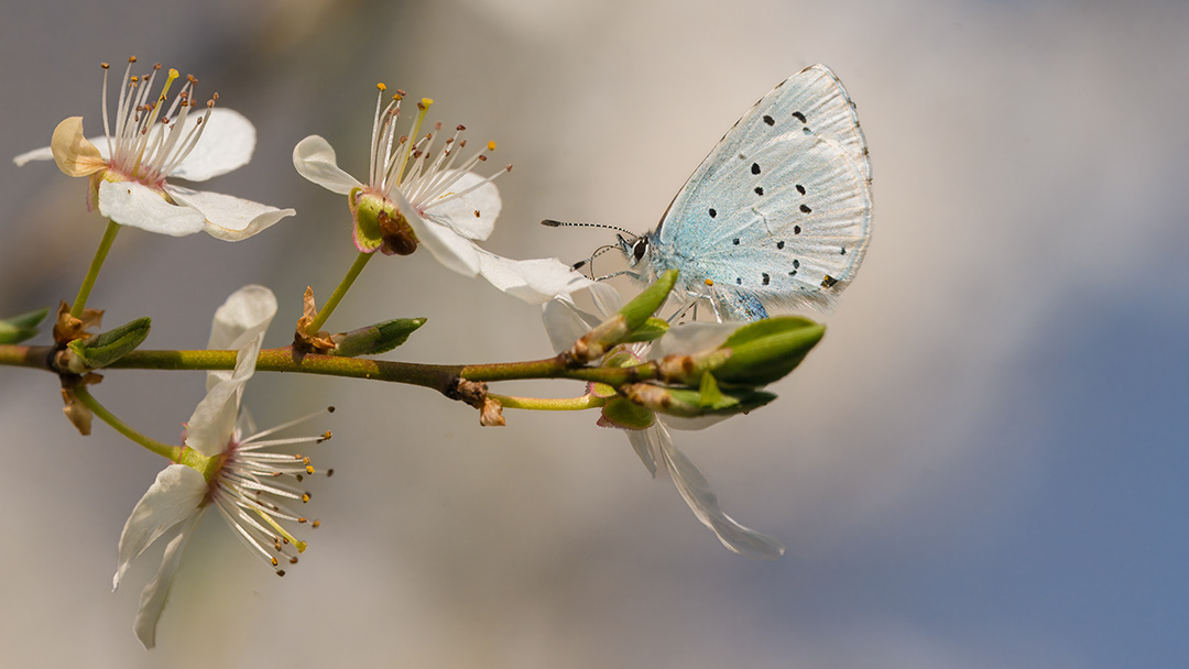 DSC09358-Verbessert-NR-topaz-rawdenoise-sharpen.b.in Kopie.jpg