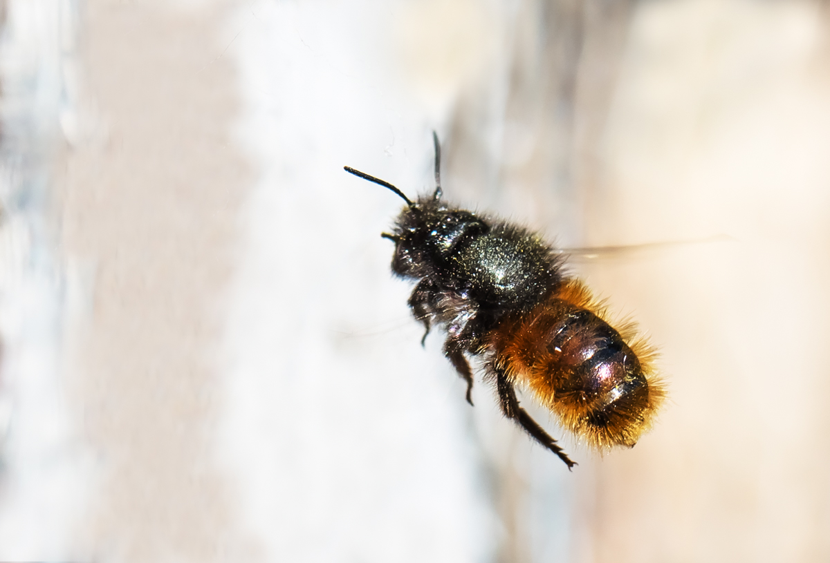 _MG_6835-Bearbeitet-Bearbeitet.jpg