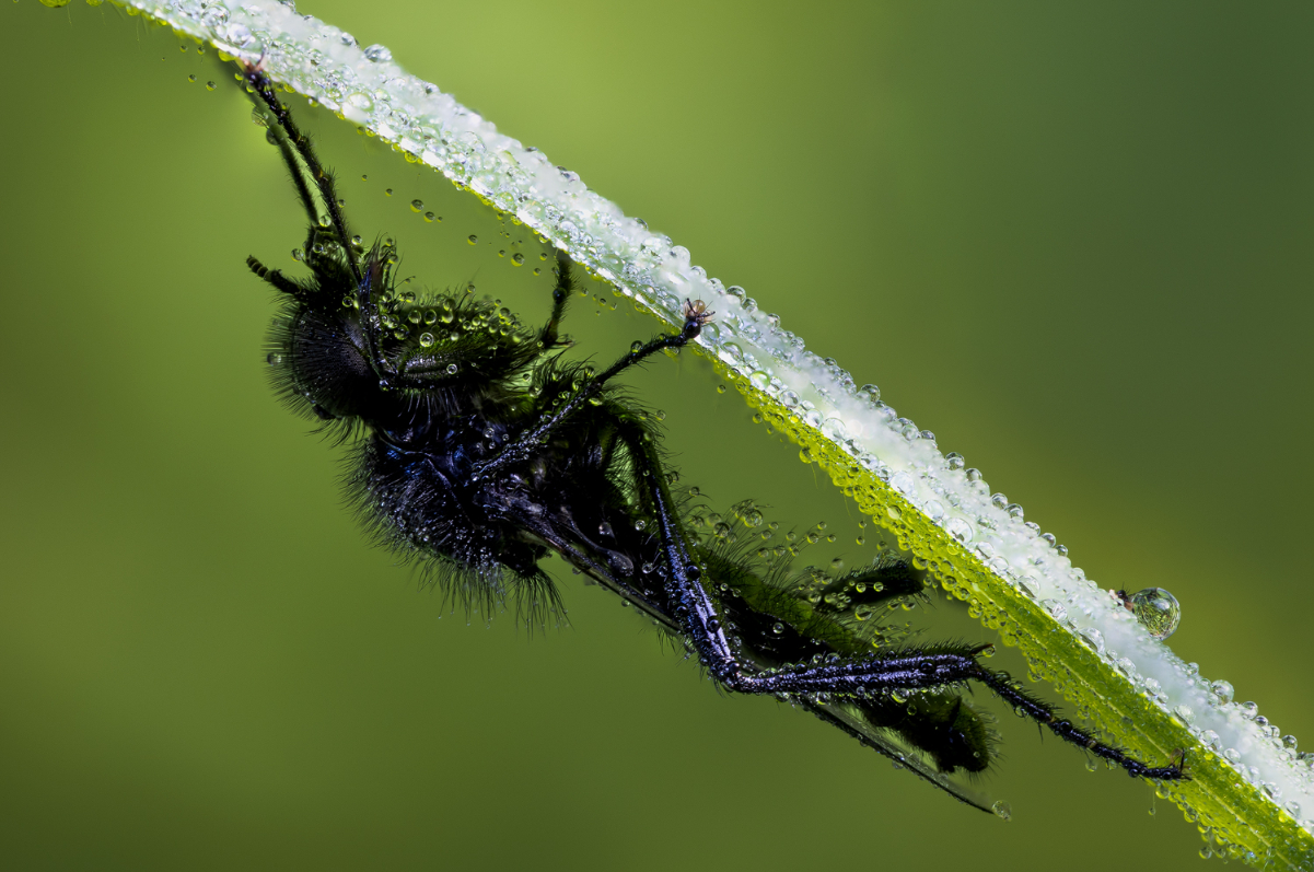 2F0A5055-Bearbeitet Kopie.jpg