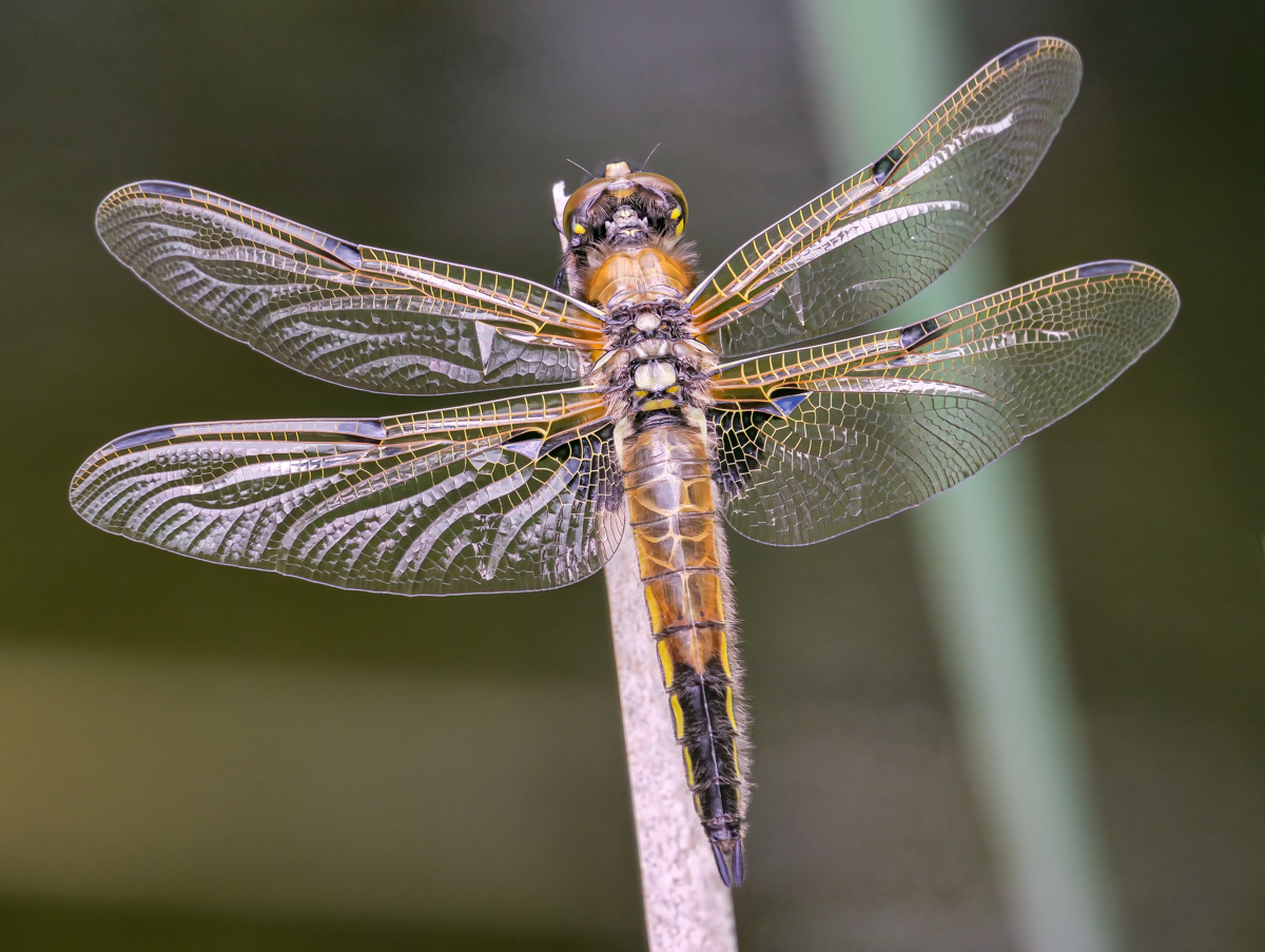 20230514-2023-05-14 17-04-43.jpg