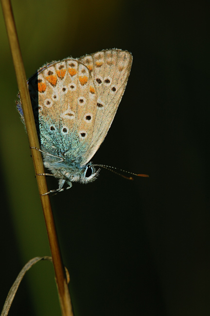 DSC80 Licht und _Schatten.jpg