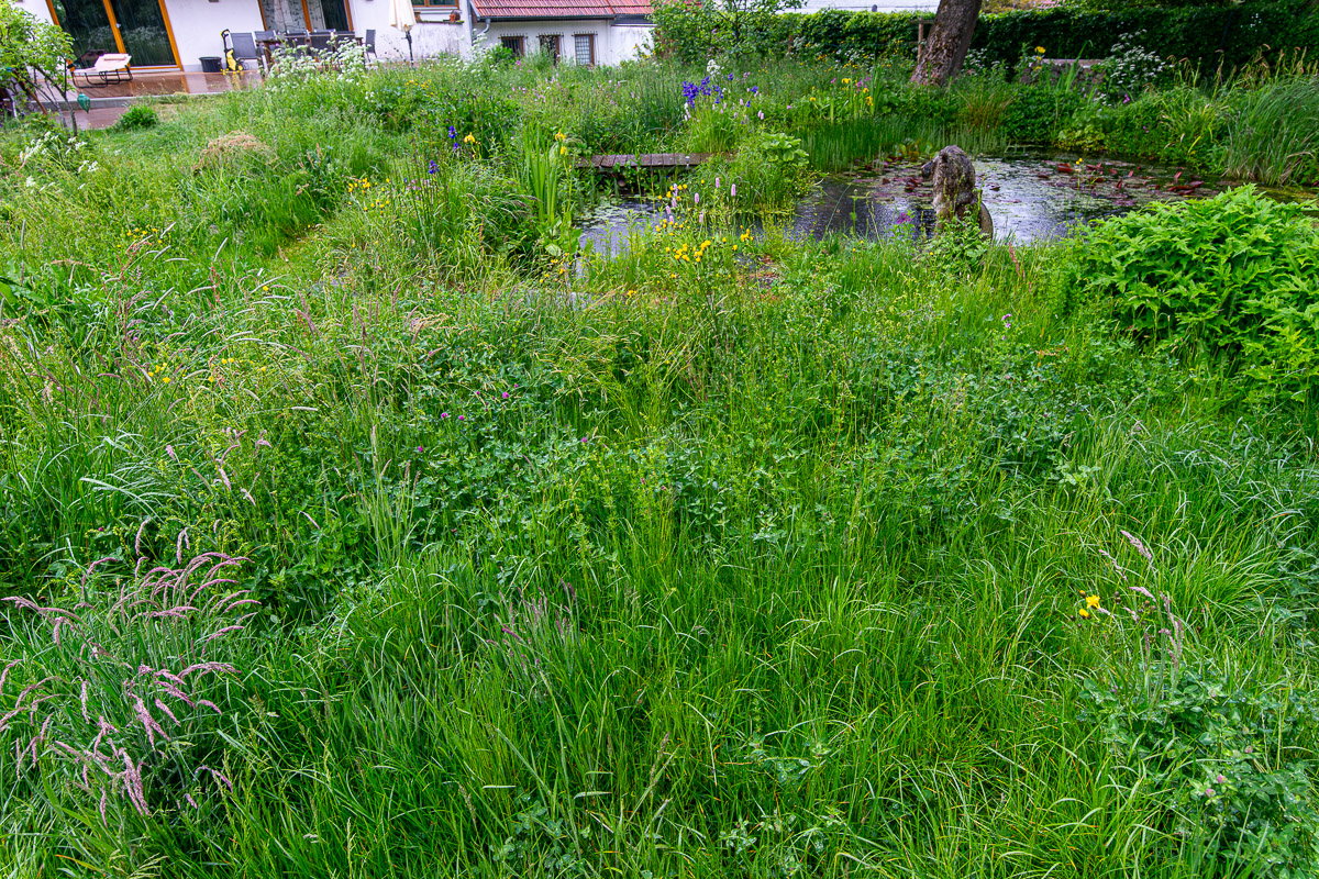 25052025-003-Verbessert-RR.jpg