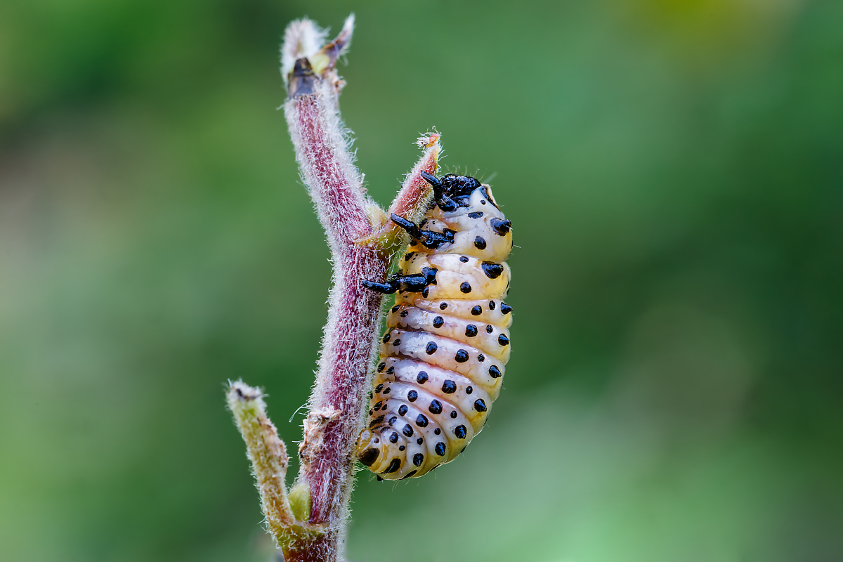 DN4A6036_DxO_DxOklein.jpg