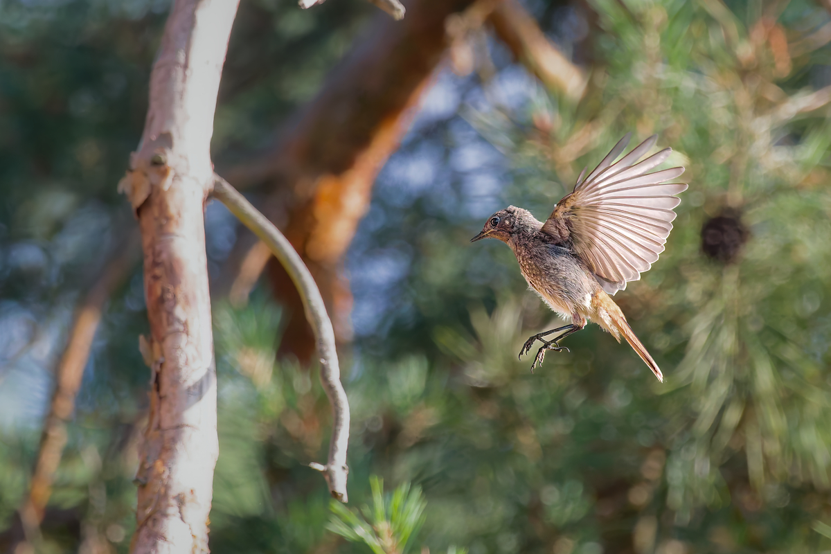 DN4A1147_DxO-klein.jpg