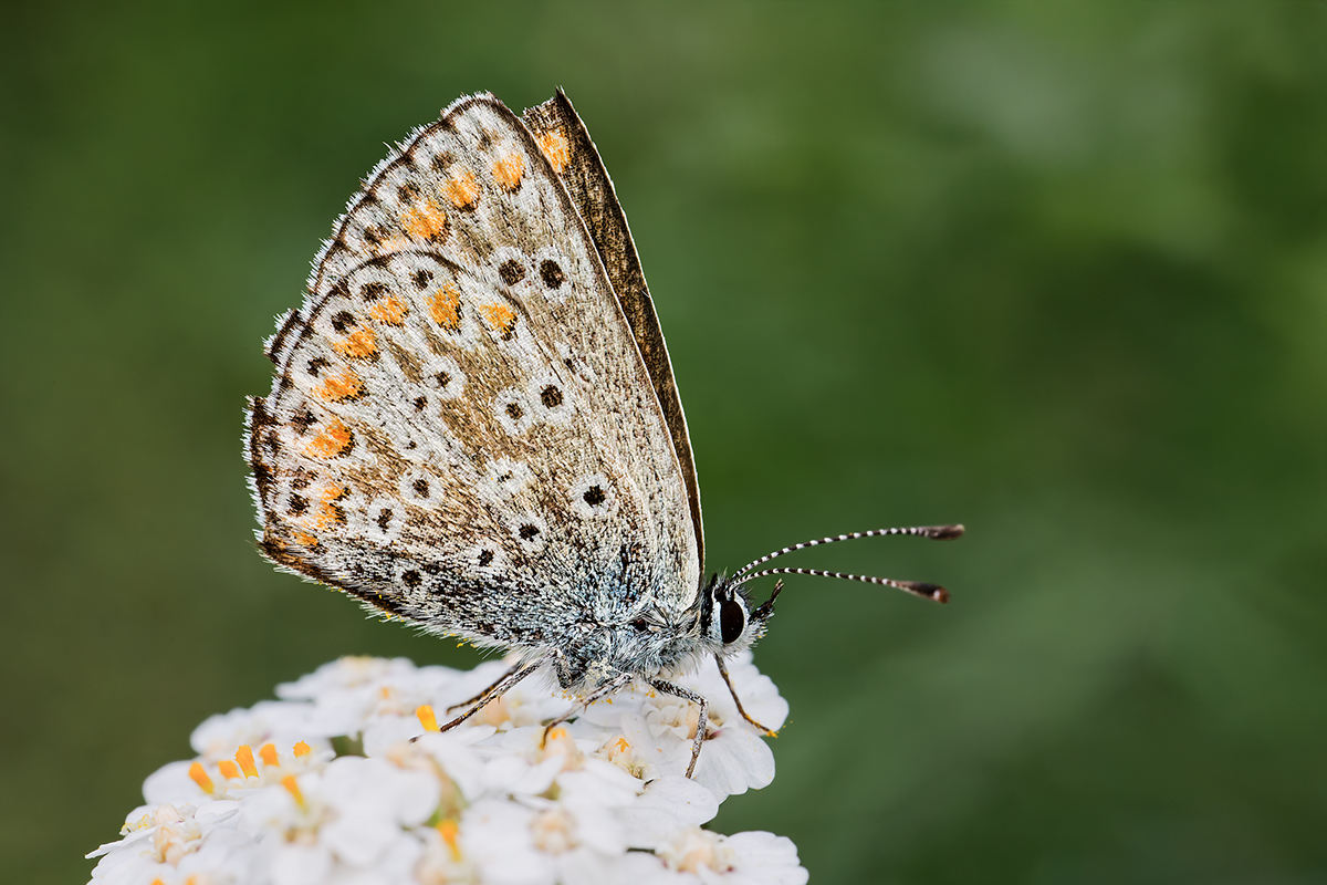 DN4A4546_DxO_DxOklein 2.jpg