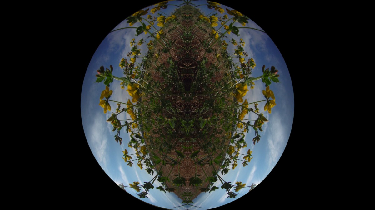 2025-4 Illusionen Bild 2 1200.jpg