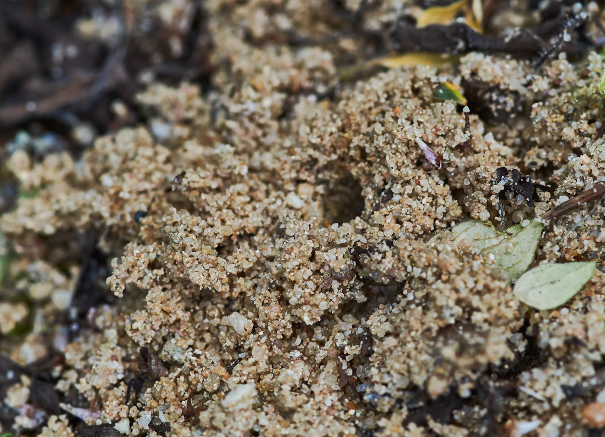 Eingang im Sand.jpg