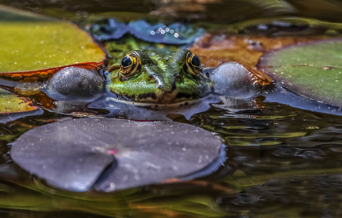 _MG_1105-Bearbeitet-Bearbeitet.jpg