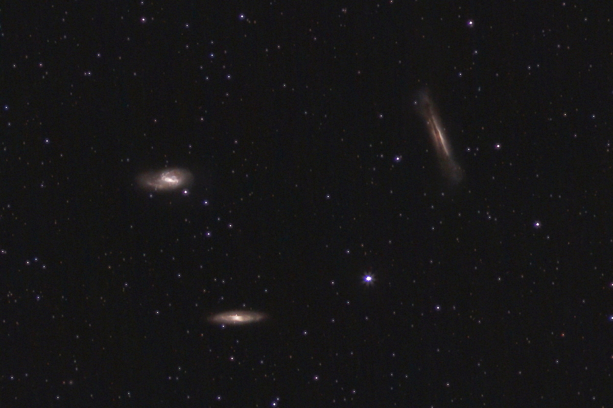 leo triplet cut for.jpg