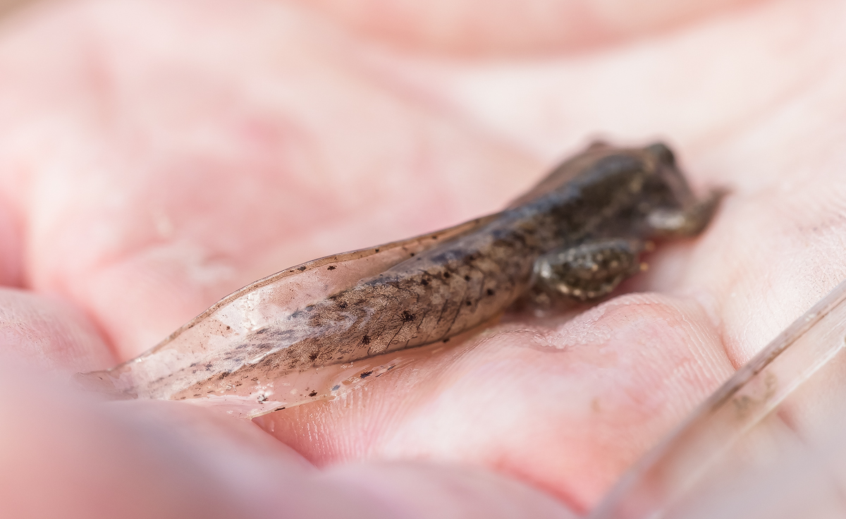 IMG_2974-Bearbeitet - Kopie.jpg