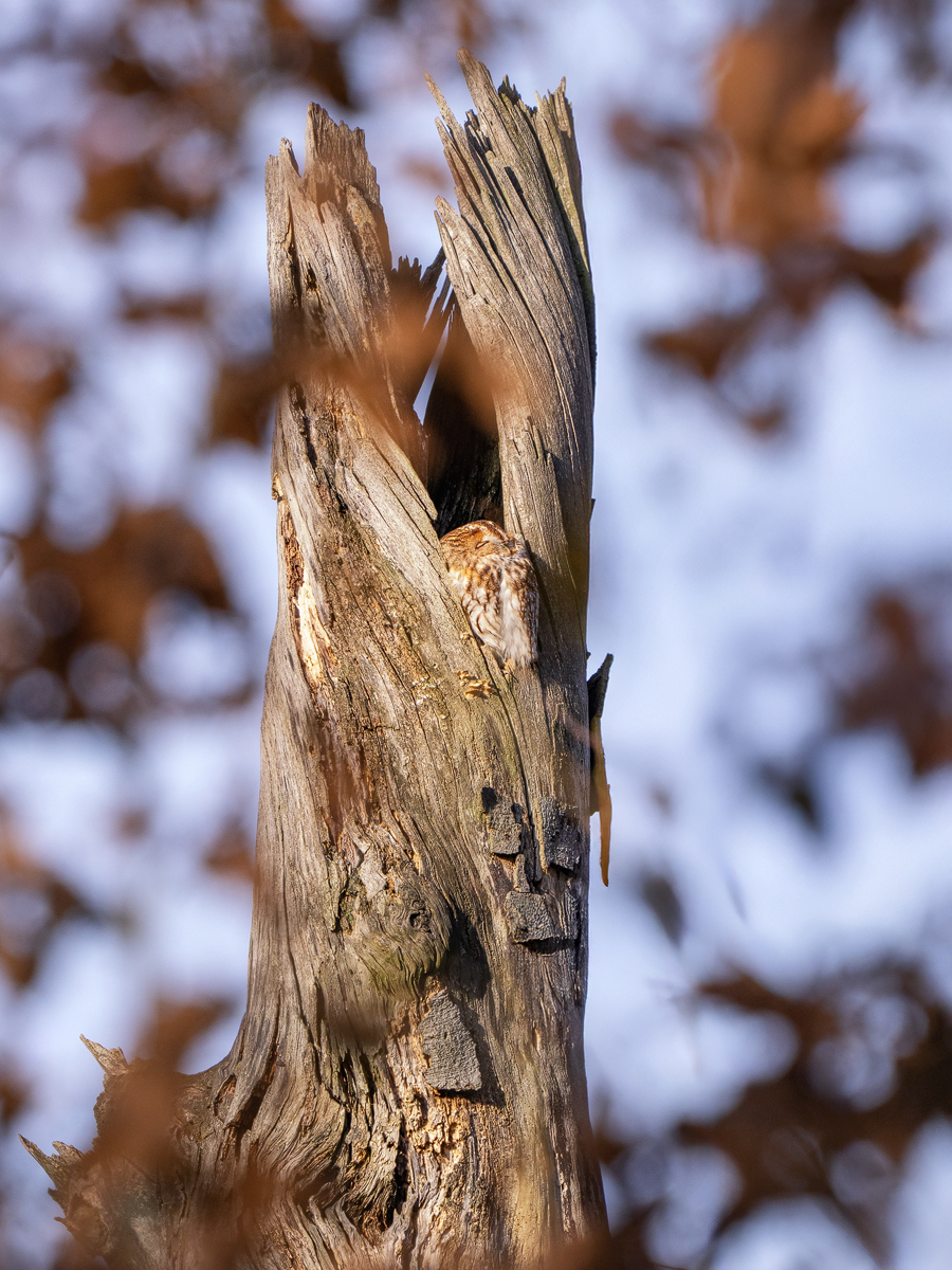 _1134185-Bearbeitet-Bearbeitet-Kopie.jpg