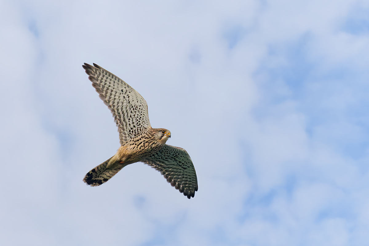 DN4A0856_DxO klein.jpg