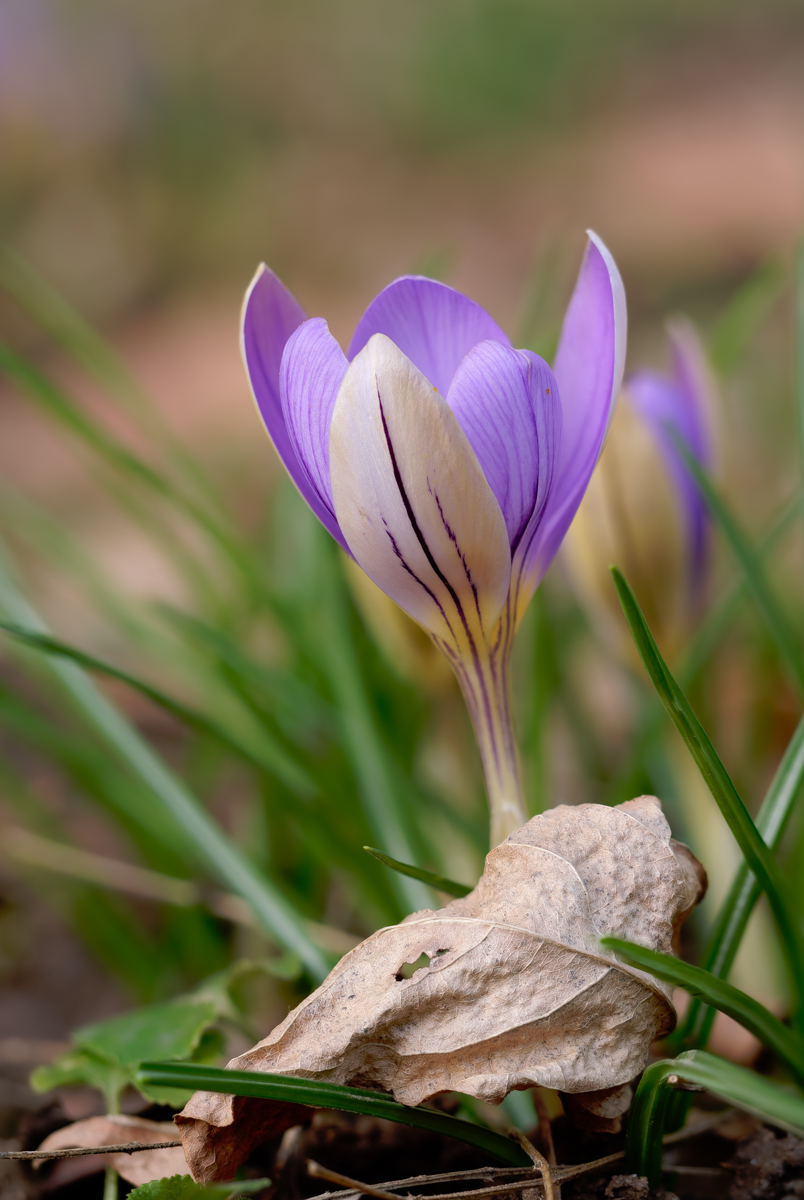 2026-01-14 16-39-17 (A,Radius8,Smoothing4).JPG