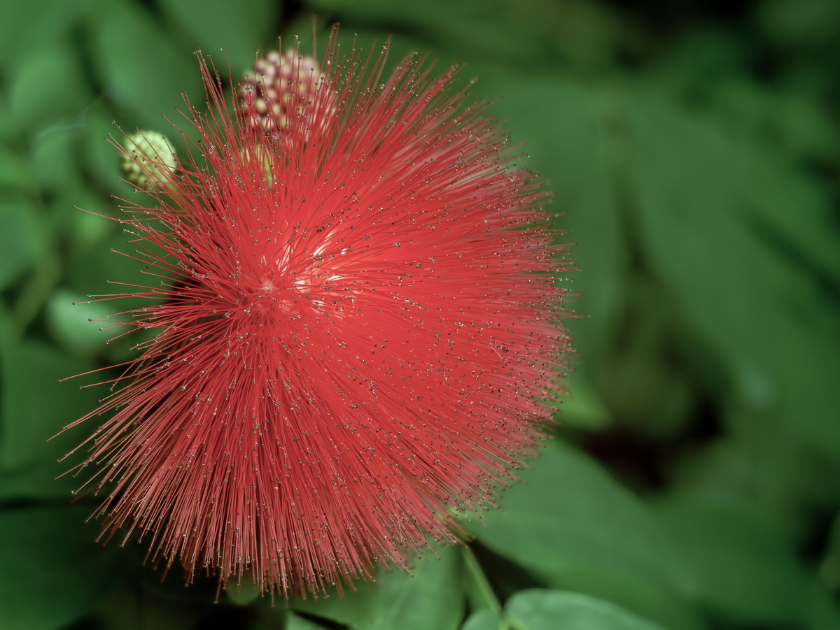 2026-01-01 17-05.JPG