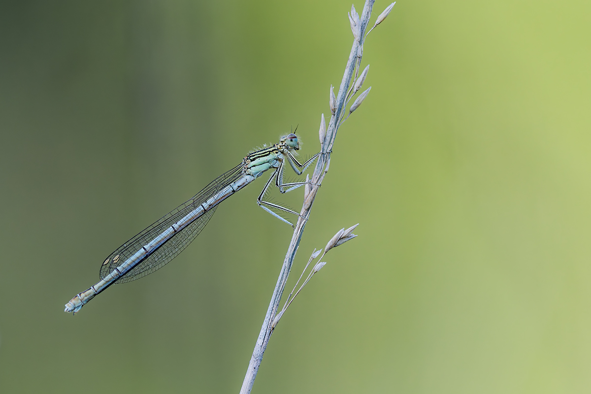 DN4A7575_DxO klein.jpg