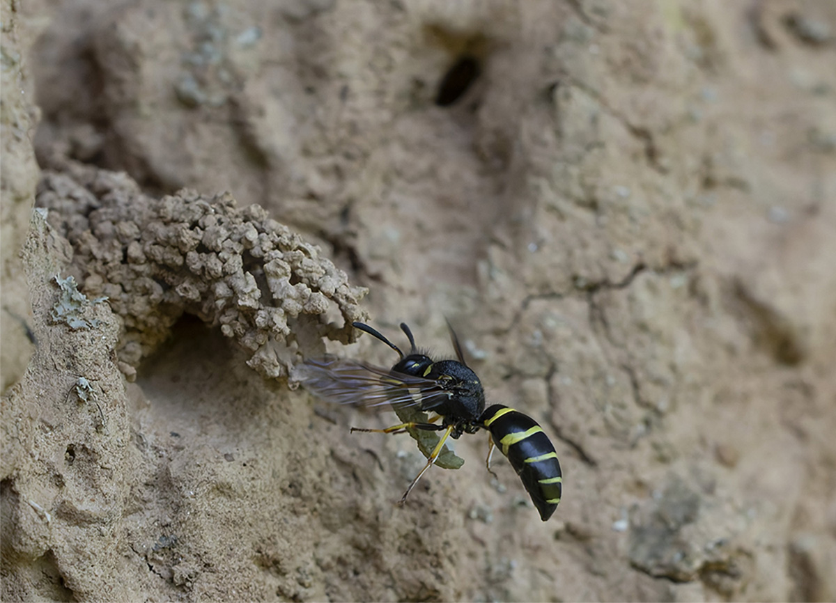 20250620_2406 Kopie 2.jpg