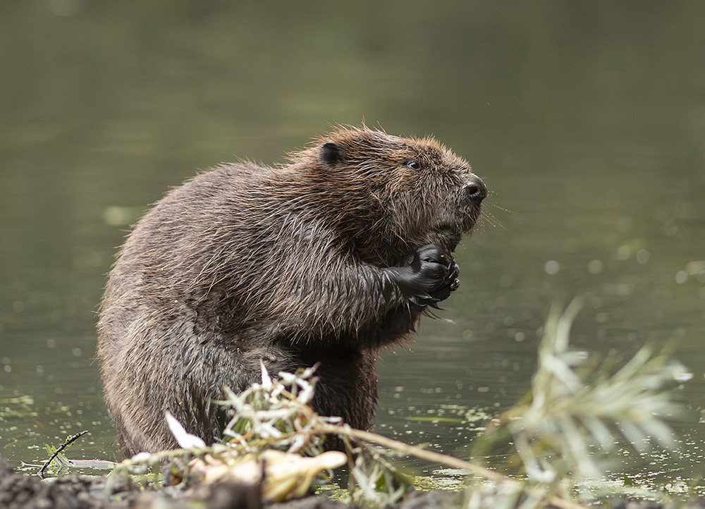 20220907_0205 Kopie 2.jpg