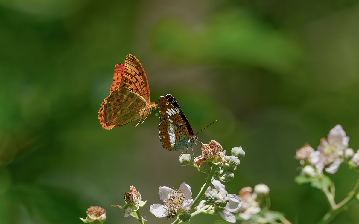 DN4A4536_DxO klein.jpg