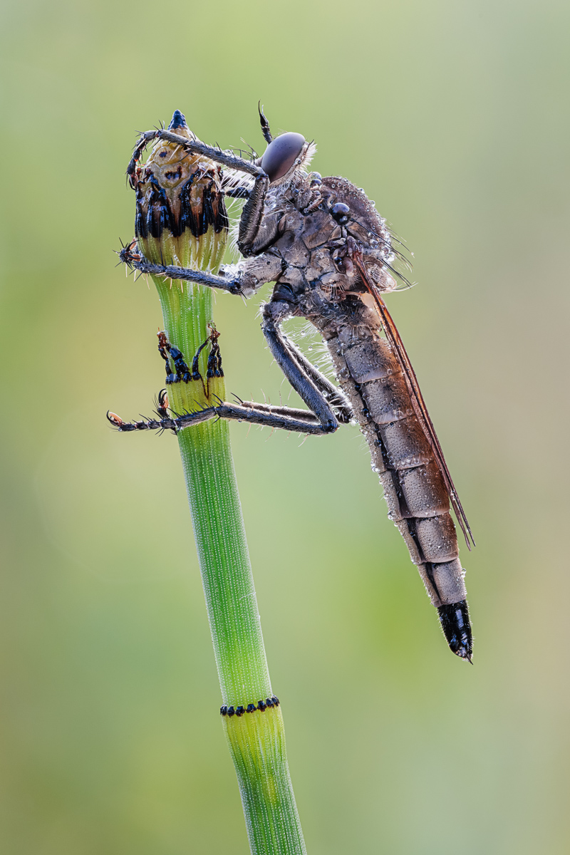 20250808-20250808-IMG_5783 ZS44 1-15 f8 200 100-b.jpg