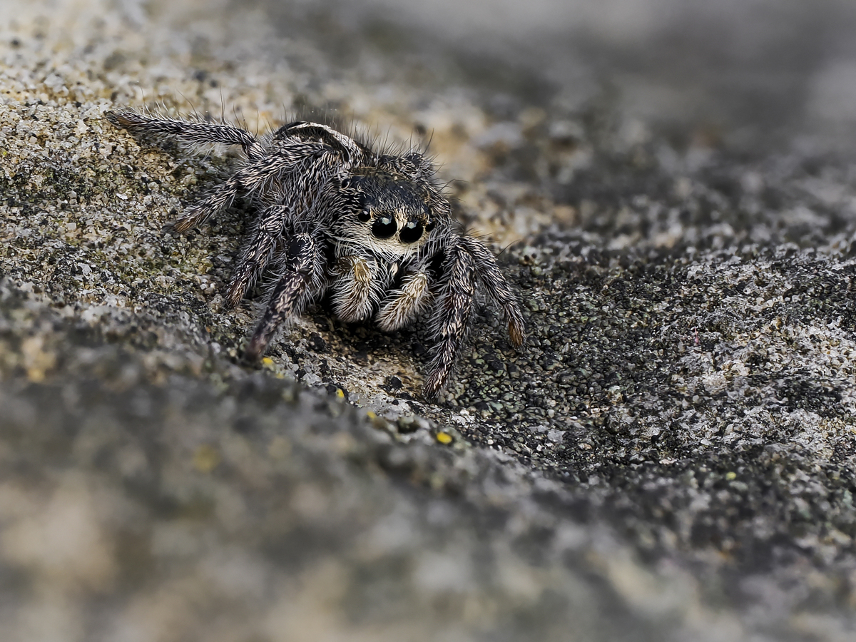 2023-03-18 17-56-19 (C,S2)-Verbessert-Bearbeitet.jpg