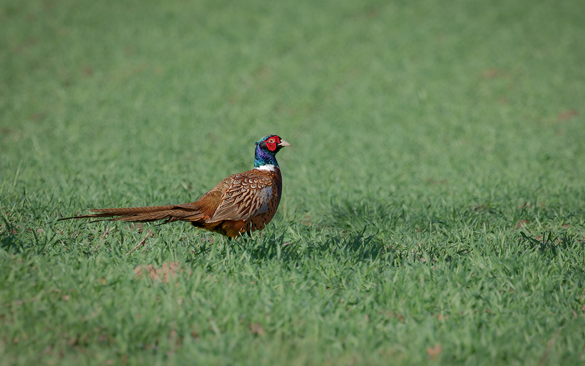 DN4A8870_DxO klein.jpg