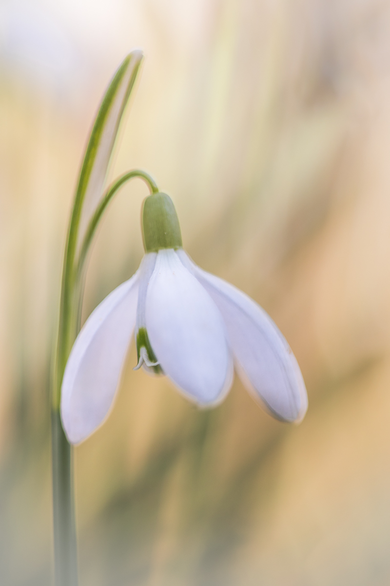 IMG_5364_B.0_ - Kopie.jpg