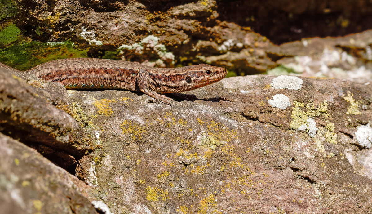 2026-02-26 17-00-39.JPG