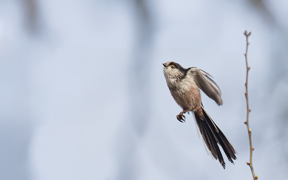 DN4A9655_DxO klein.jpg