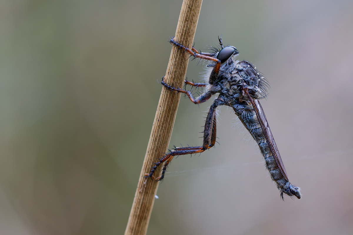 DN4A3050_DxO klein.jpg