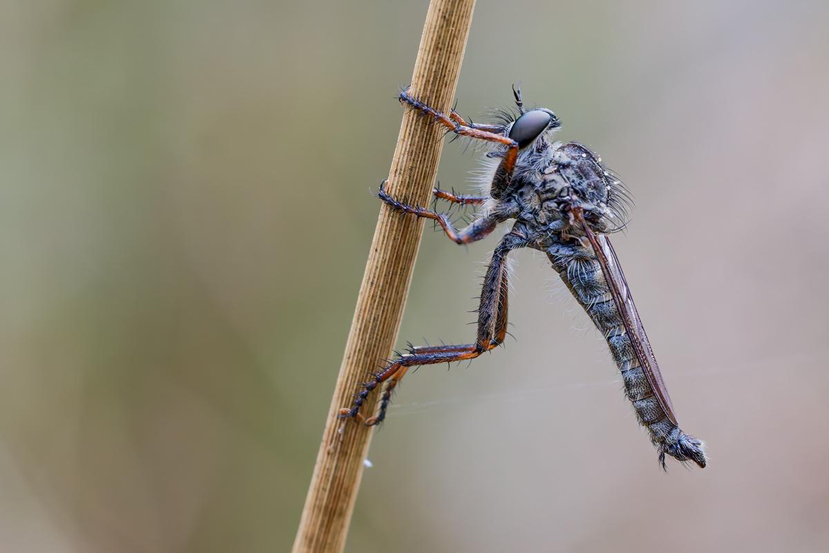 DN4A3050_DxO klein 2.jpg