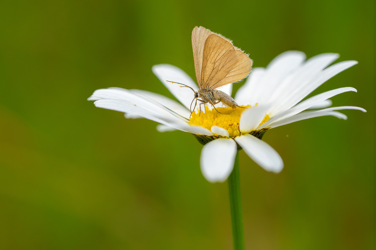 2026-03-15 11-36-26.e.jpg