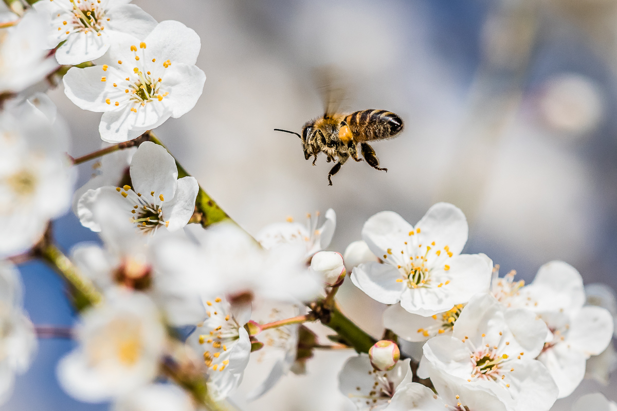 IMG_5676_ - Kopie.jpg