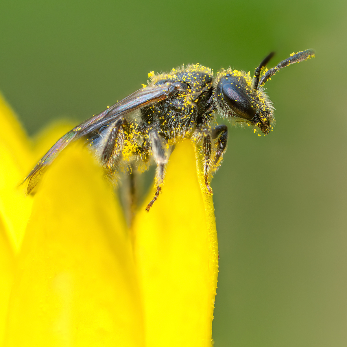 2026-03-26 21-23-18 (B,R5,S4).mf.kl.jpg