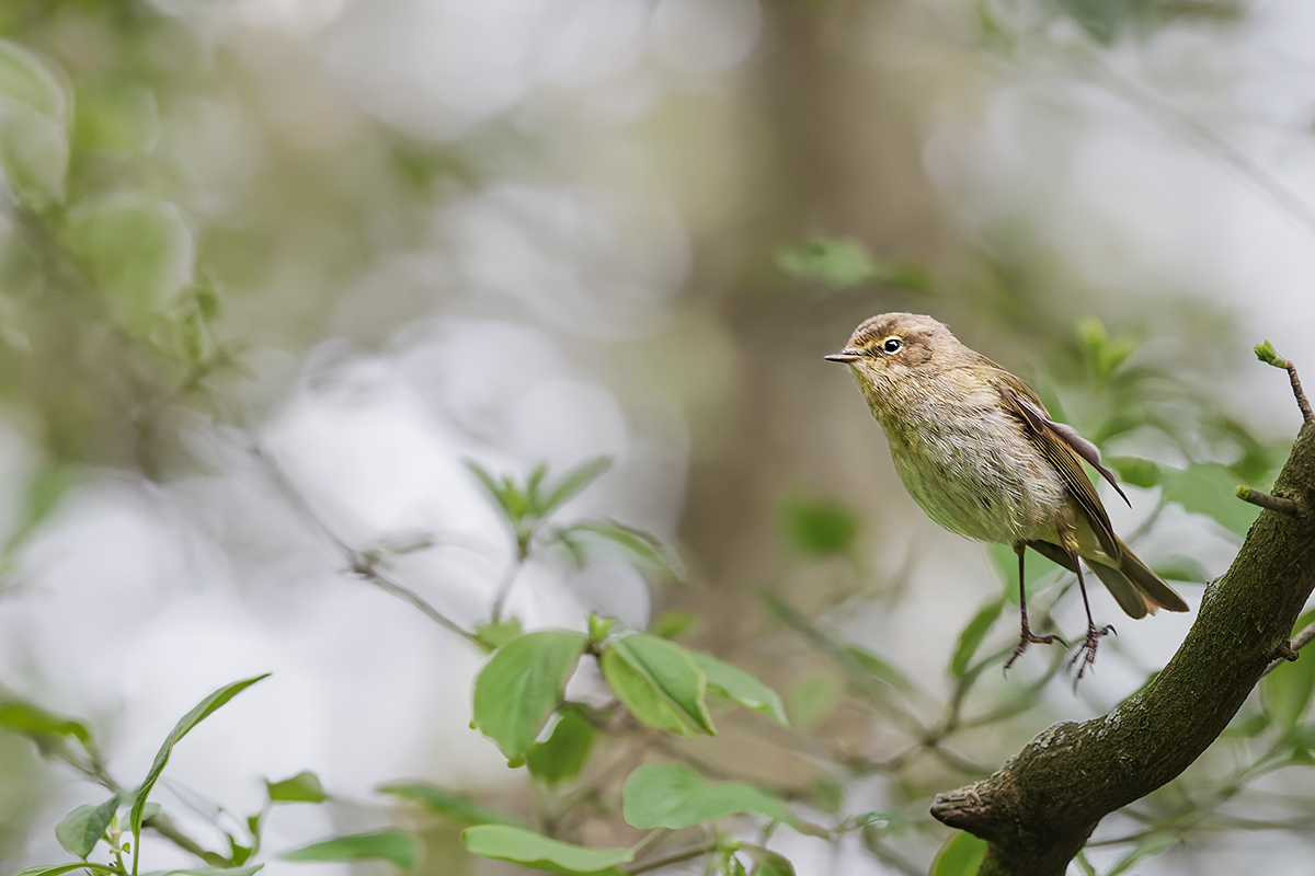 DN4A1590_DxO klein.jpg