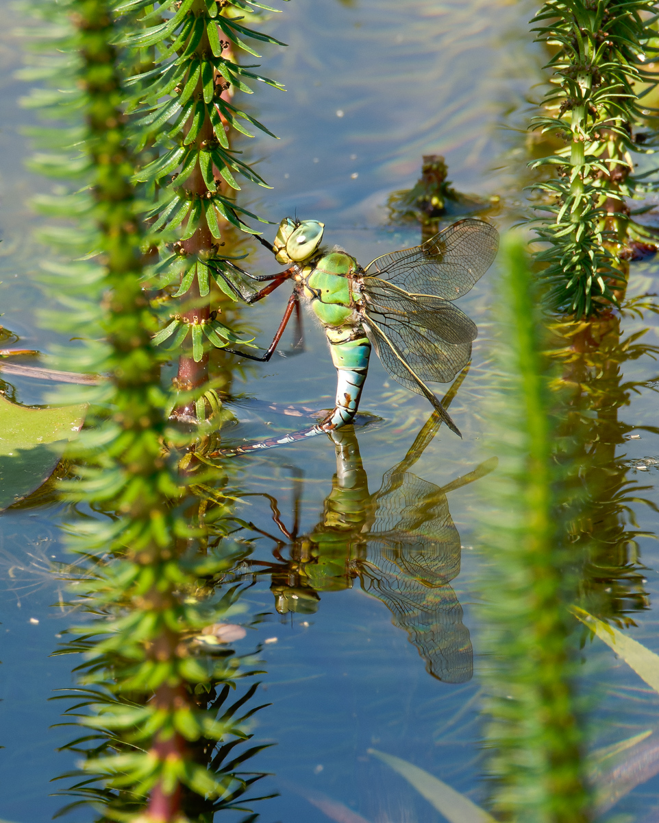 P1074565-.JPG