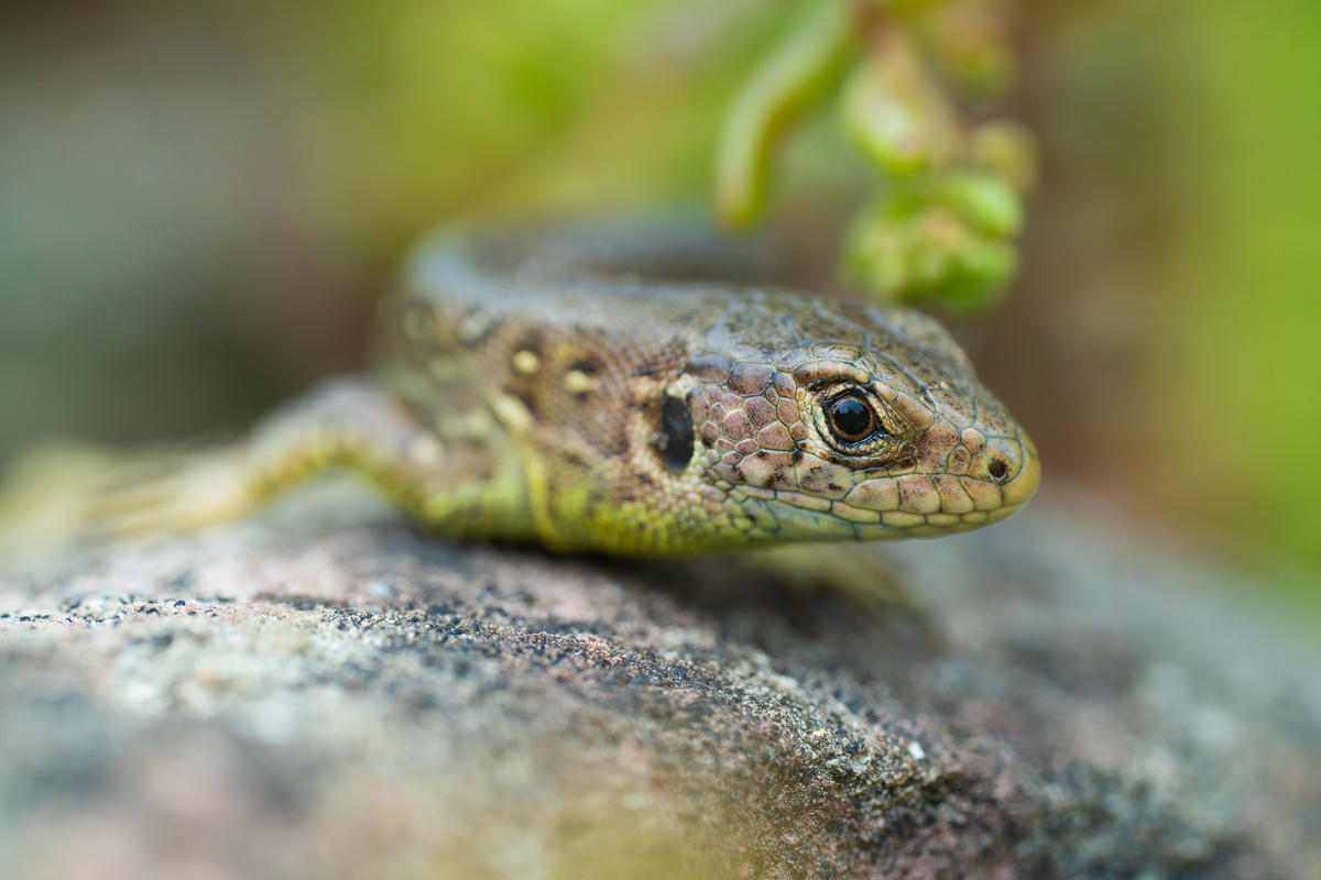 DSC05043 Kopie.jpg