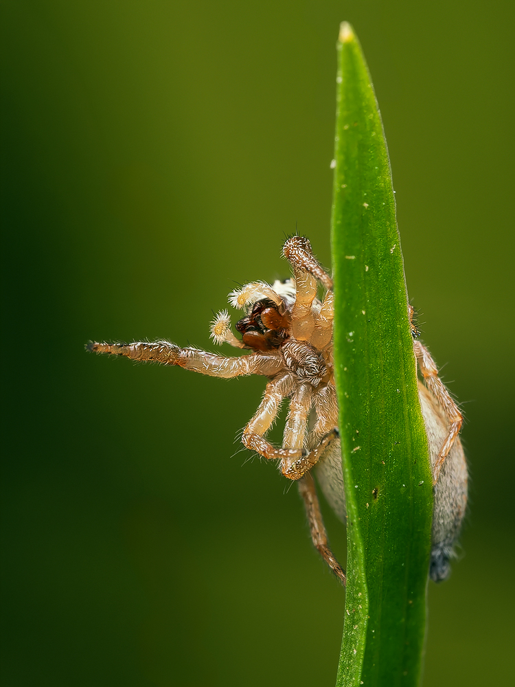 20260605-_6050232-Kopie-2.jpg