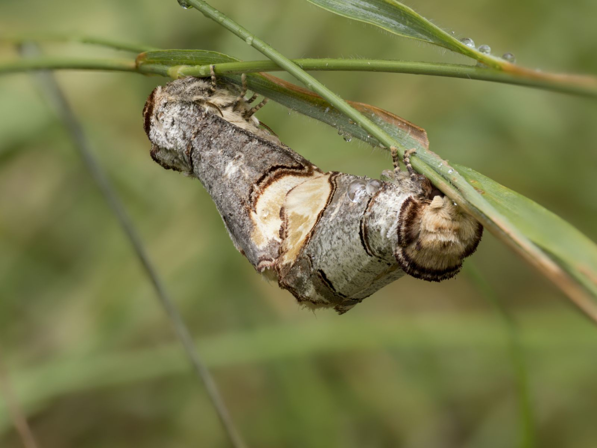 2026-07-01 15-30-25 (A,R11,S1).jpg