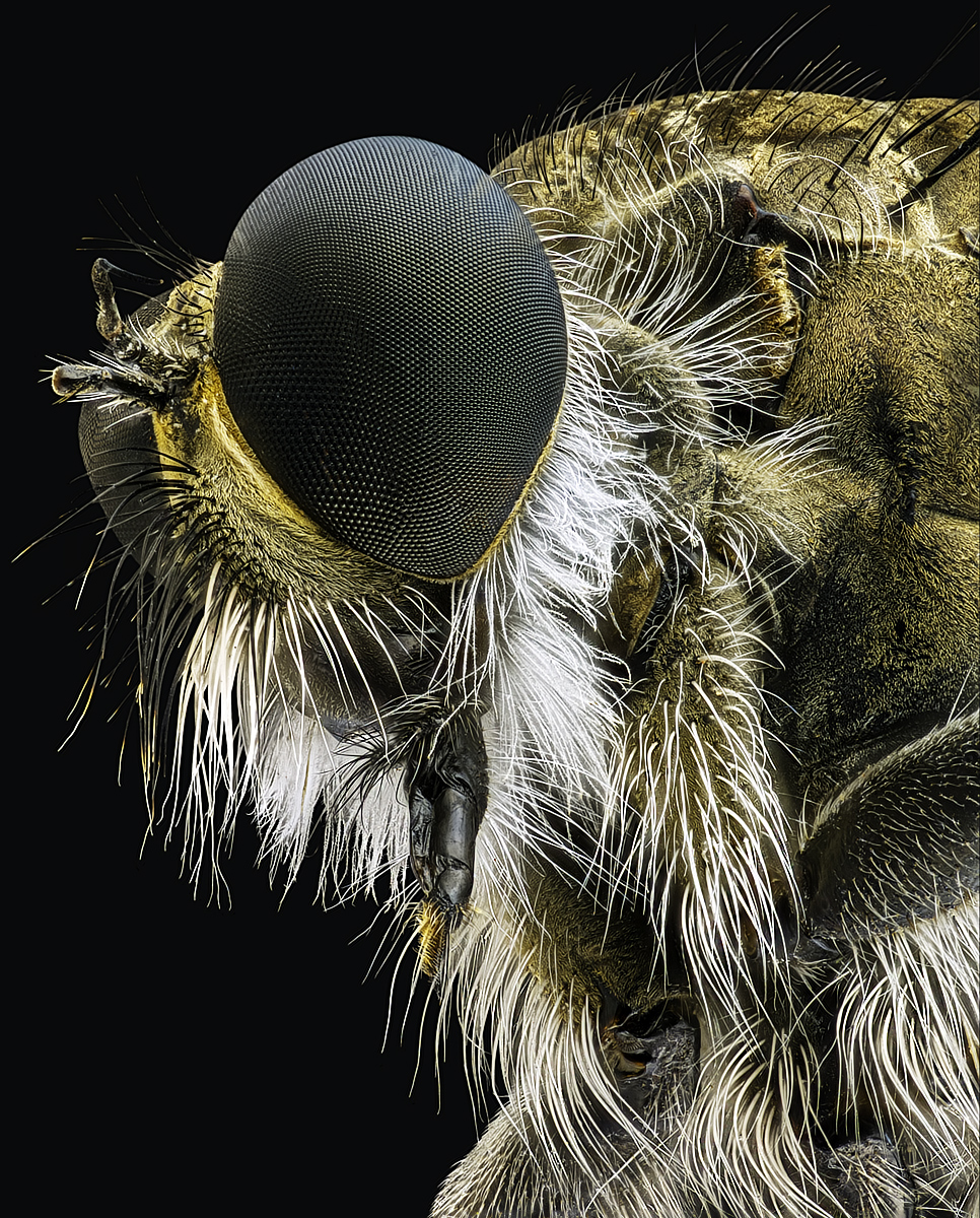 5X_PMax_TPnd_1200px_Q93.jpg