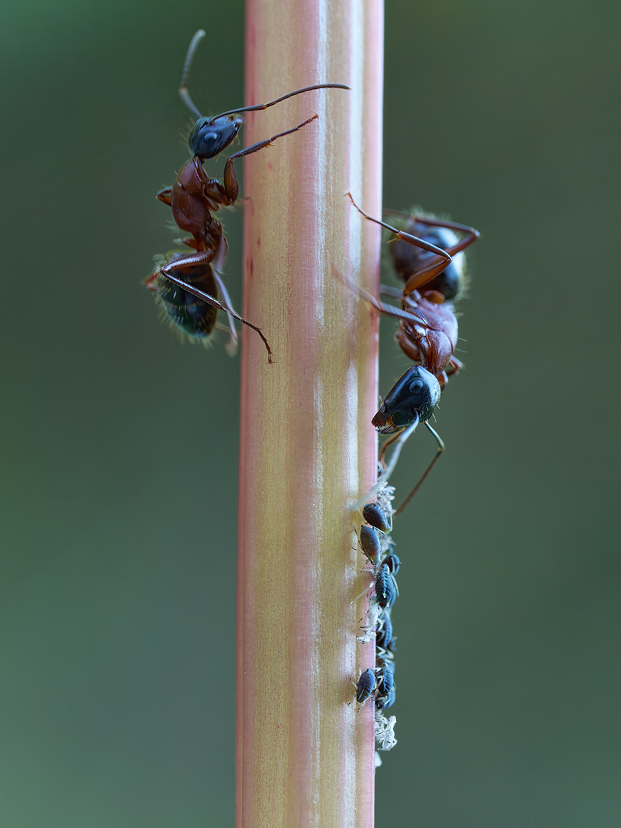20260814-084936_korrigiert.jpg