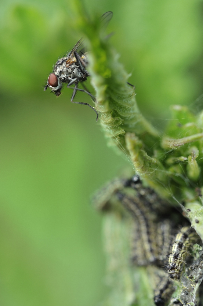 comp_Was ist da los.jpg