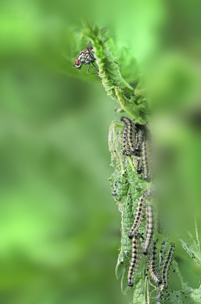 comp_Was ist da los2.jpg